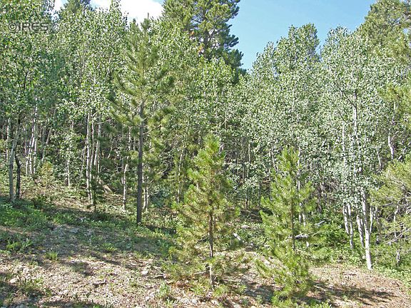 5th image of 136 Ponderosa Dr