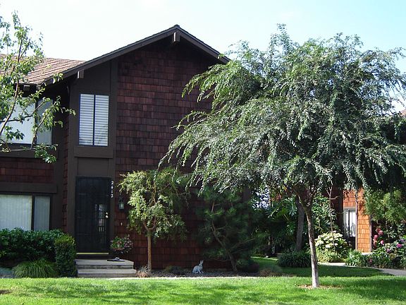 Surrounded with Beauty