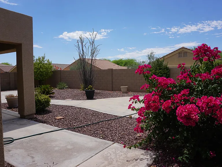 Backyard