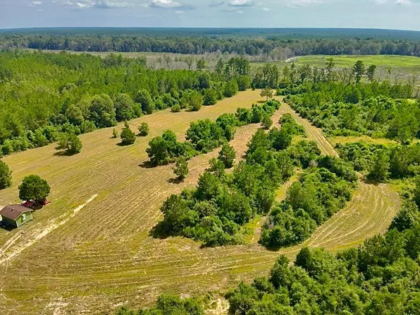 George Sanner Rd, Warren, TX 77664