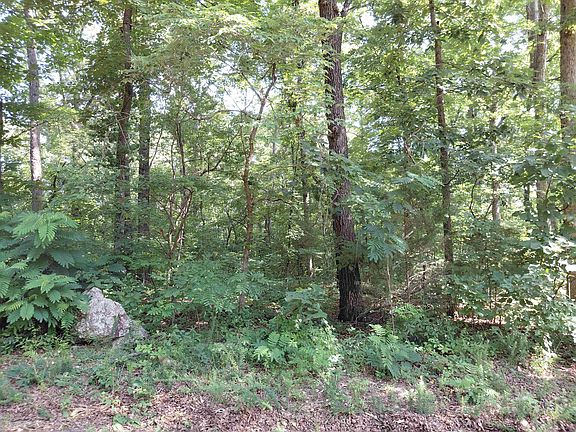 2nd image of Buckboard Road Ridge Dr