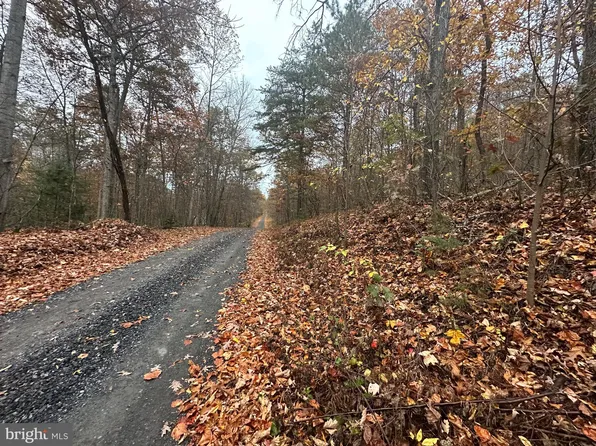 369 Crosswoods Ln, Fort Valley, VA 22652