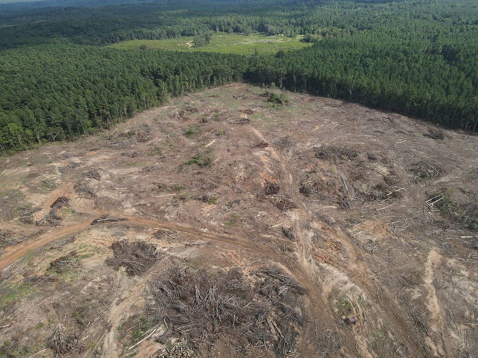 1st image of Highway 11