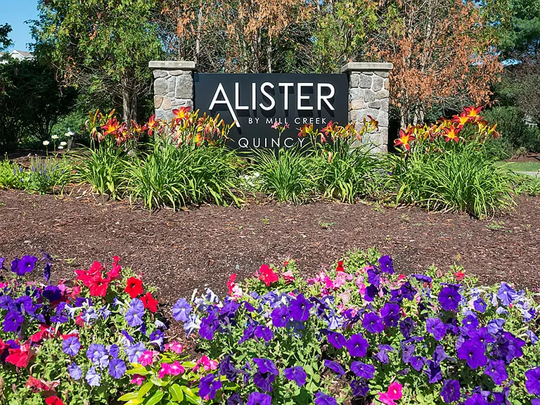 Welcome to Alister Quincy