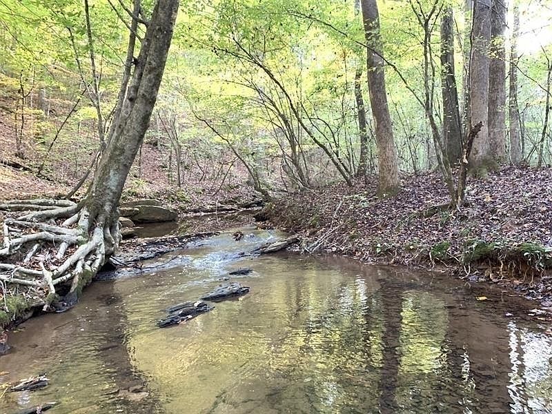 2nd image of 7265 Anderson Lake Rd