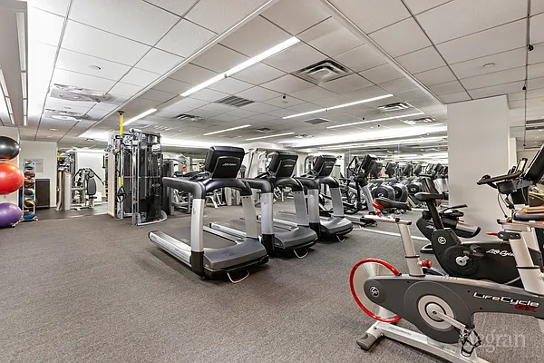 Rented by Elegran | media 15