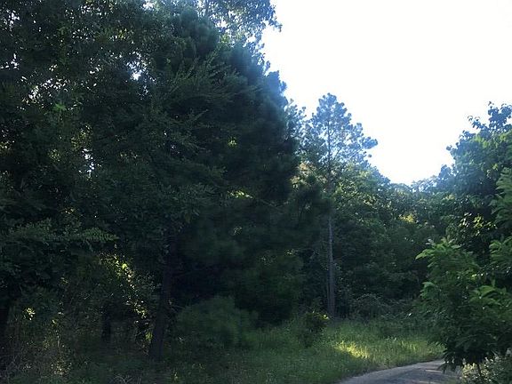 2nd image of 2700 County Road 452