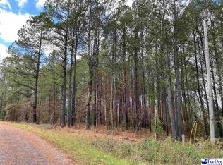 0.77 Hunters Run Ln, Wallace, SC 29596