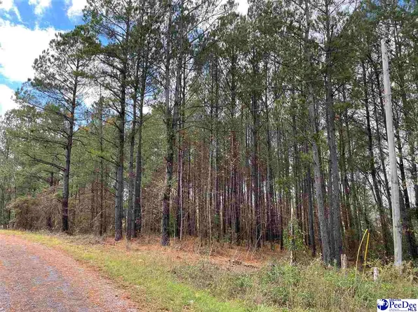 0.77 Hunters Run Ln, Wallace, SC 29596