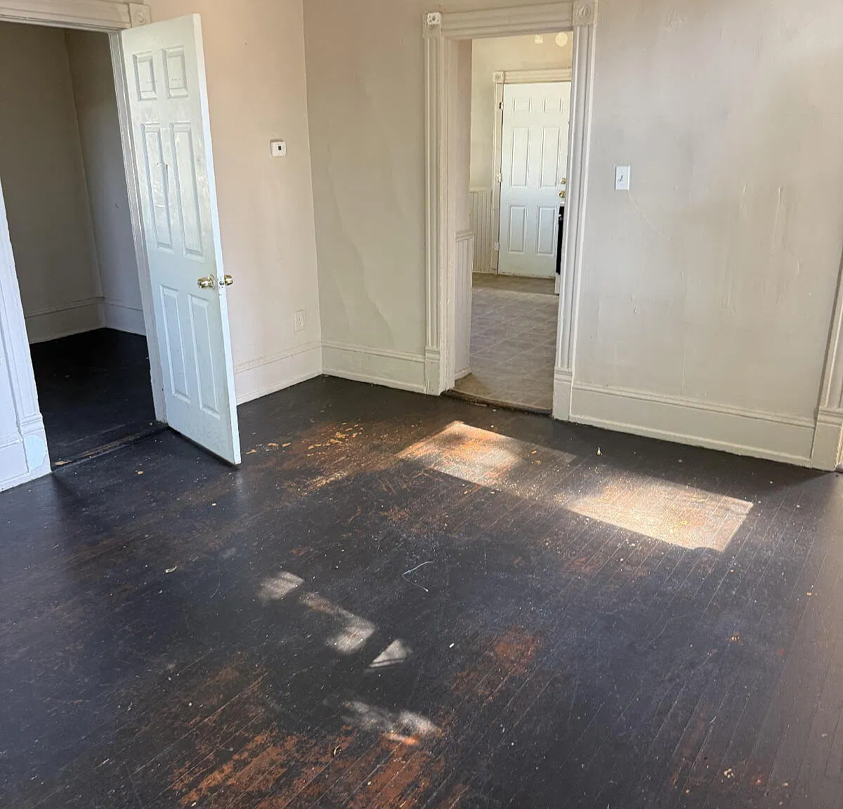 2 bed, 1.0 bath, $1,000 — Photo 2