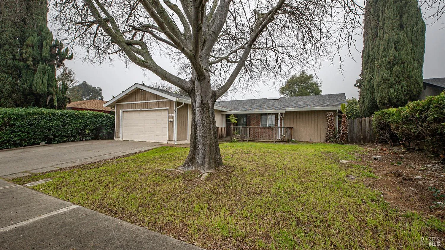 2495 Carnation Drive photo 1