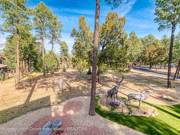 5th image of 172 Crooked Stick Ln