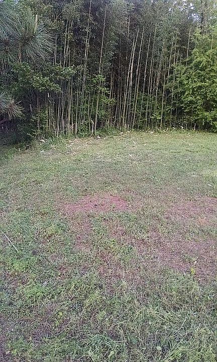 1st image of 1709 29th Ave