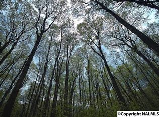 263 Emmett Ayers Rd, Grant, AL 35747