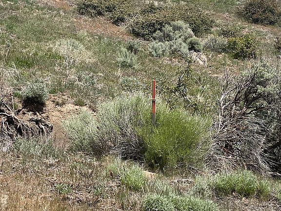 5th image of 25260 Jacaranda Dr Lot 248