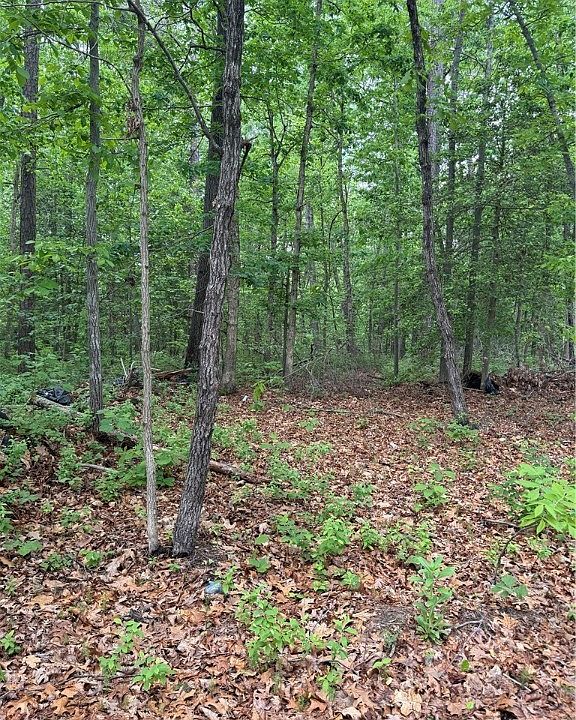 2nd image of 12100 Rock Hill Rd