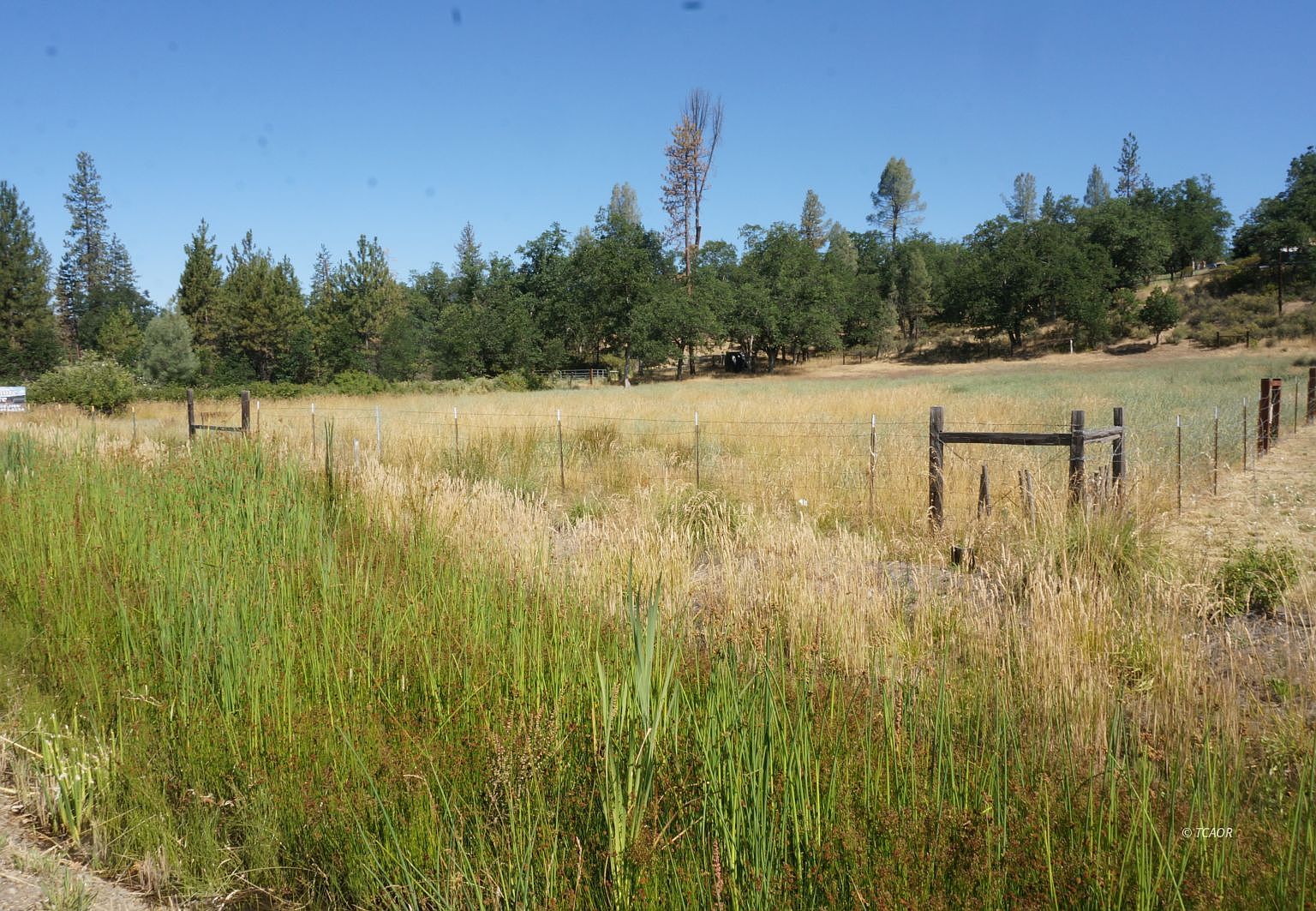 7821/7851 State Highway 3, Hayfork, CA 96041 MLS 2111989 Zillow