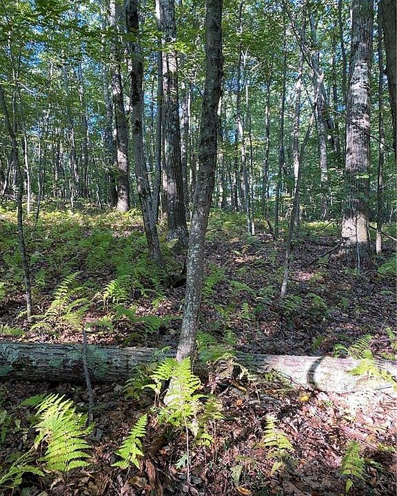 0 Lake Dr, Bethlehem, CT 06751 MLS 170441572 Zillow