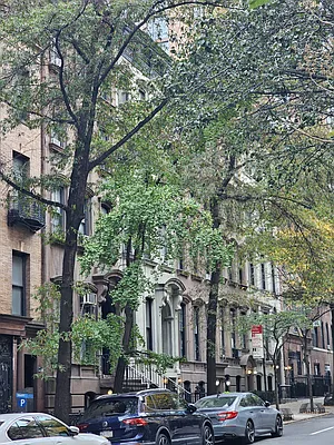 Rented by Bond New York | media 1