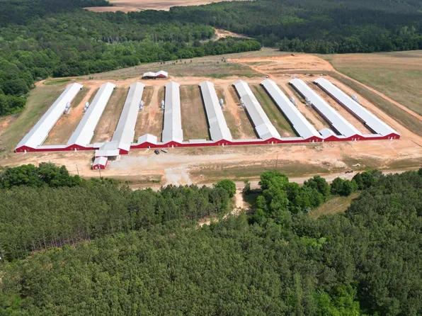 1481 County Road 127, Shorterville, AL 36373