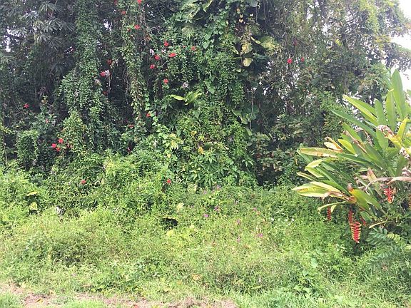 3rd image of Palani St Lot 1