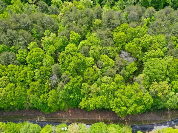 Speedwell Ln, Bulls Gap, TN 37711