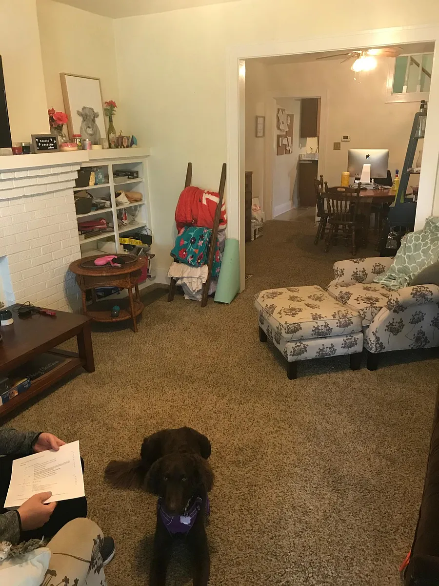 Living room - 30 W Lakeview Ave #30
