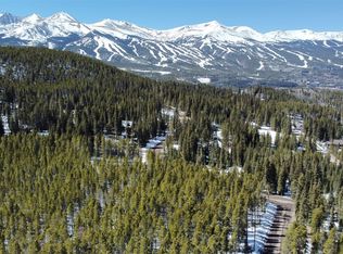 118 County Road 535, Breckenridge, CO 80424