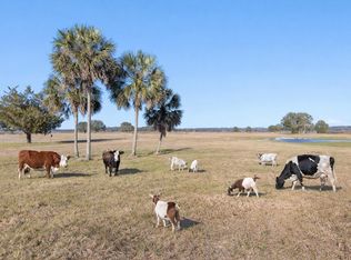 Jackson View Dr, Tallahassee, FL 32303