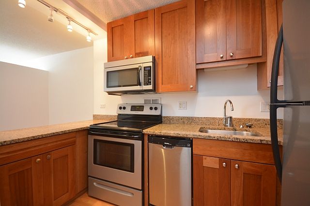 1st image of 450 W Briar Pl APT 12J