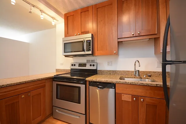 450 W Briar Pl #12J