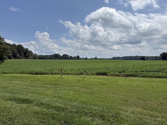 5th image of 1370 Gibeon Rd