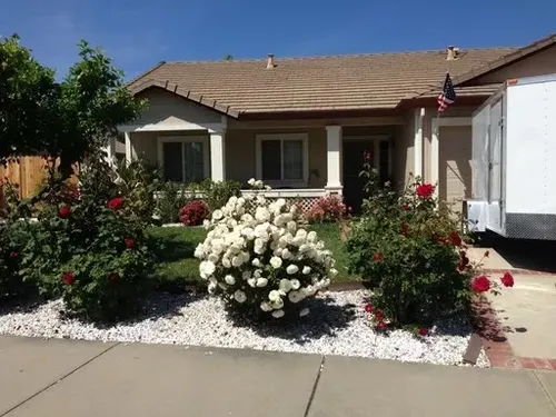 1820 Rehrmann Dr Photo 1