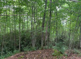 Summit View Dr, Topton, NC 28781