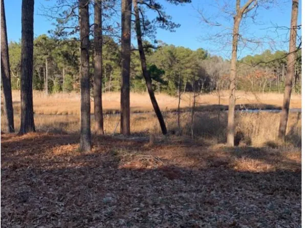 36357 Fir Dr, Rehoboth Beach, DE 19971