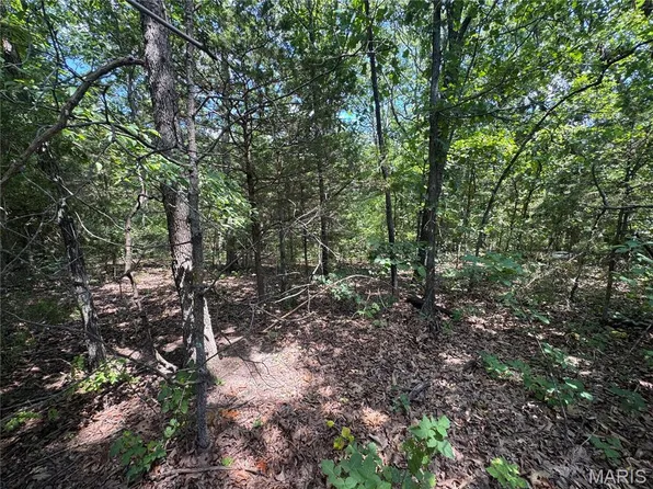 0 Rue Marne, Bonne Terre, MO 63628