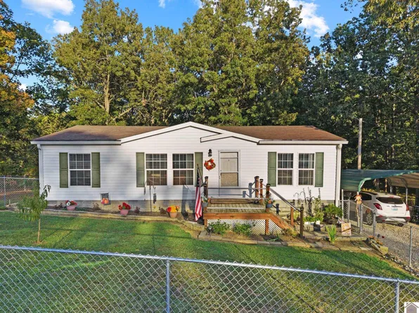 708 Tinker Ln, Grand Rivers, KY 42045