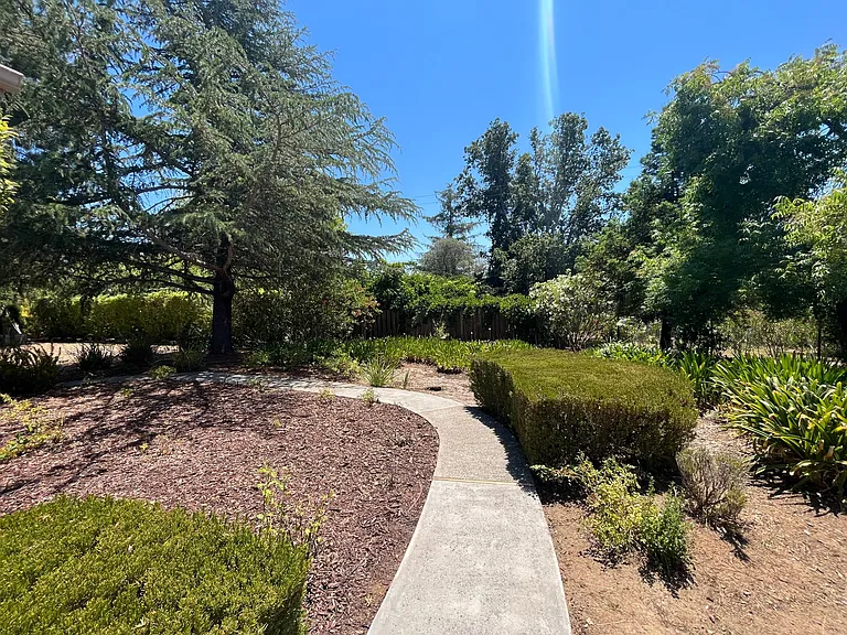 The tranquil stroll through the garden path