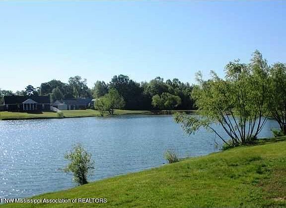 5th image of 6168 Magnolia Lakes Dr