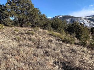 546 Kit Carson Rd, South Fork, CO 81154