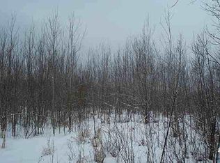 40 N Zett Rd, Winter, WI 54896