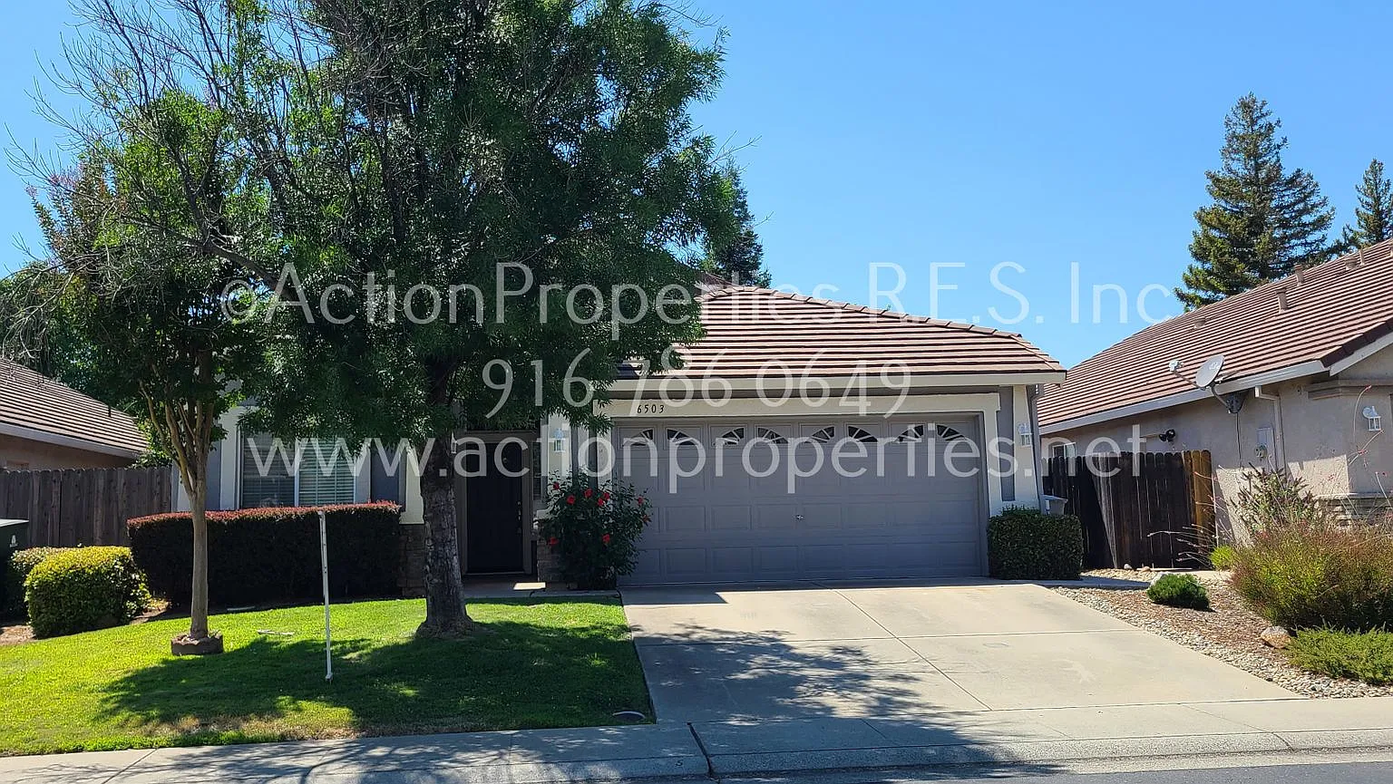 Single Story 1700sqft Rocklin Single Story, 3 bedroom, 2 baths-Gardner, Walking distance shopping — Photo 1