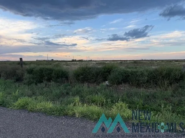 590 E Wilhite Rd, Clovis, NM 88101