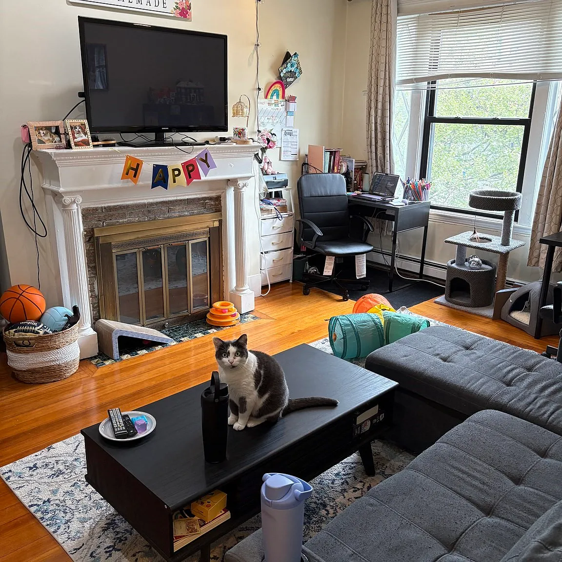 1 bed, 1.0 bath, 950 sqft, $3,200 — Photo 2