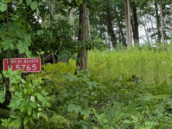 N5765 Parkway Rd, Pound, WI 54161