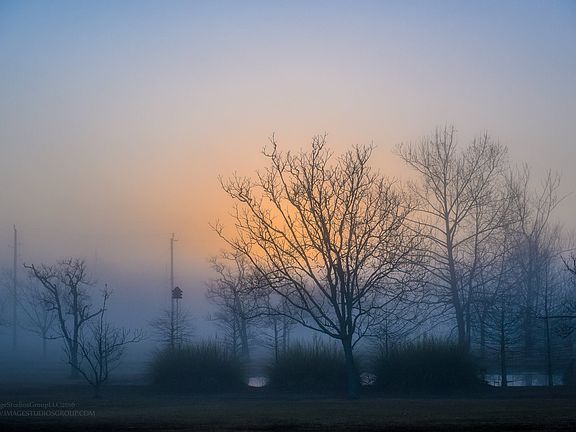 view of next door pond front