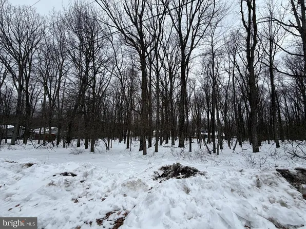 64 Jay Peak Ln, Zion Grove, PA 17985