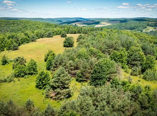 144 S Greenbush Rd #B, Erin, NY 14838