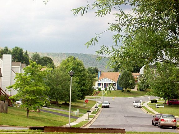 Street and nbhd view from back deck