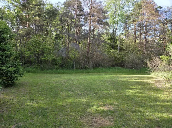 1138 N Thornapple Ave, White Cloud, MI 49349
